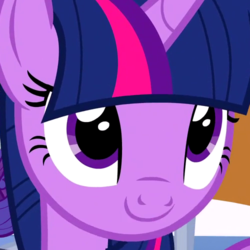 Size: 500x500 | Tagged: safe, screencap, twilight sparkle, alicorn, pony, g4, the crystalling, closed mouth, cropped, cute, female, looking at you, looking up, looking up at you, mare, smiling, solo, twiabetes, twilight sparkle (alicorn)