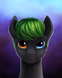 Size: 1400x1760 | Tagged: safe, artist:l1nkoln, oc, oc only, pony, heterochromia, looking at you, male, portrait, solo, stallion