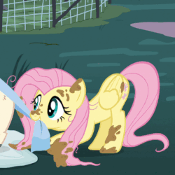 Size: 426x426 | Tagged: safe, screencap, fluttershy, pig, pony, derpibooru, castle sweet castle, g4, animated, cleaning, female, forced juxtaposition, hogwash, juxtaposition, juxtaposition win, loop, meme, meta, mud, multi image animation, offscreen character
