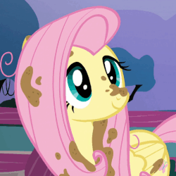 Size: 503x503 | Tagged: safe, screencap, fluttershy, pegasus, pony, castle sweet castle, g4, season 5, animated, blinking, cute, dirty, female, folded wings, mud, pink hair, pink mane, shyabetes, solo, teal eyes, wings, yellow body, yellow coat, yellow fur, yellow pony, yellow wings