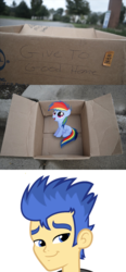 Size: 1323x2853 | Tagged: safe, flash sentry, rainbow dash, pegasus, pony, fanfic:my little dashie, equestria girls, g4, dashie meme, exploitable meme, flashface, image macro, meme