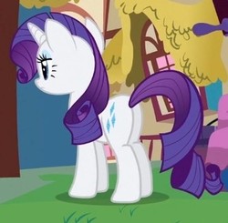 Size: 332x325 | Tagged: safe, screencap, rarity, pony, g4, just for sidekicks, butt, cropped, female, mare, plot