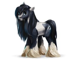 Size: 1108x918 | Tagged: safe, artist:locksto, oc, oc only, oc:d, gypsy vanner, long feather, simple background, solo, unshorn fetlocks, white background
