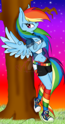 Size: 1024x1941 | Tagged: safe, artist:pvrii, rainbow dash, anthro, g4, clothes, converse, female, rainbow socks, shoes, sneakers, socks, solo, striped socks, tomboy, watermark