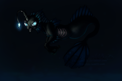 Size: 1500x1000 | Tagged: safe, artist:chickenwhite, oc, oc only, sea pony, angler seapony, solo, underwater