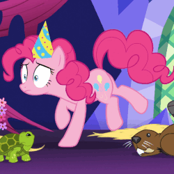 Size: 507x508 | Tagged: safe, screencap, pinkie pie, beaver, earth pony, pony, turtle, castle sweet castle, g4, season 5, animated, balancing, female, frown, gif, hat, mare, party hat, raised hoof, raised leg, shivering, solo, trembling, wide eyes