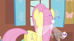 Size: 1100x618 | Tagged: safe, screencap, cotton (g4), fluttershy, breezie, pony, g4, it ain't easy being breezies, my little pony: friendship is magic, butt, female, hub logo, mare, plot