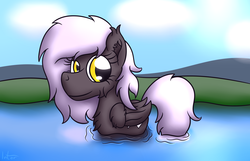 Size: 2860x1840 | Tagged: safe, artist:internetianer, oc, oc only, oc:eiro, duck pony, pony, pegaduck, solo, water