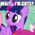 Size: 505x505 | Tagged: safe, edit, edited screencap, screencap, twilight sparkle, alicorn, pony, g4, caption, cute, image macro, meme, question, realization, twilight sparkle (alicorn)