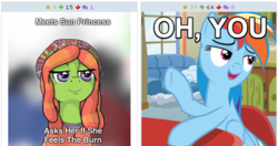 Size: 513x271 | Tagged: safe, screencap, rainbow dash, tree hugger, pony, derpibooru, g4, juxtaposition, meta, oh you