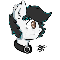 Size: 1024x1024 | Tagged: safe, artist:zuri-the-pony, oc, oc only, oc:zuri, pegasus, pony, brown eyes, collar, digital art, ear fluff, fluffy, male, portrait, profile, solo, watermark