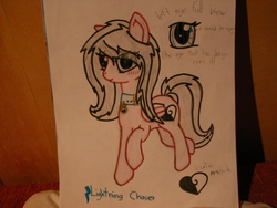 Size: 2560x1920 | Tagged: safe, artist:da-brony, oc, oc only, oc:lightning chaser, pegasus, pony, bell, bell collar, blushing, collar, female, photo, reference, solo, traditional art