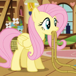 Size: 504x504 | Tagged: safe, screencap, fluttershy, pony, g4, magical mystery cure, animated, female, mouth hold