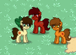 Size: 593x431 | Tagged: safe, oc, oc only, oc:kathy, oc:keith, oc:mars miner, oc:venus spring, pony, pony town, female, male, mare, marspring, rule 63, screenshots, smiling, stallion