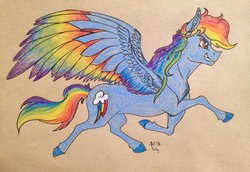 Size: 1280x879 | Tagged: safe, artist:ambergerr, rainbow dash, g4, female, solo, traditional art