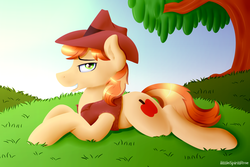 Size: 1500x1000 | Tagged: safe, artist:spirit-dude, braeburn, earth pony, pony, g4, day, grass, grin, hill, looking at you, lying, male, pasture, prone, smiling, solo, stallion, stupid sexy braeburn, tree