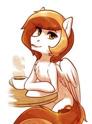 Size: 1200x1601 | Tagged: safe, artist:maccoffee, oc, oc only, oc:coffee cream, pegasus, pony, coffee, looking at you, male, simple background, solo, table