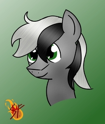 Size: 1098x1304 | Tagged: safe, artist:storm flare, oc, oc only, looking up, male, portrait, solo