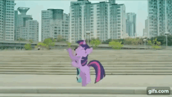 Size: 480x270 | Tagged: safe, twilight sparkle, g4, animated, dancing, female, gangnam style, irl, male, photo