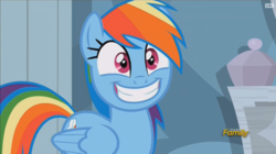 Size: 914x512 | Tagged: safe, screencap, rainbow dash, pony, g4, stranger than fan fiction, discovery family logo, female, mare, smiling, solo