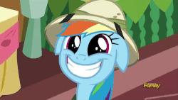 Size: 500x281 | Tagged: safe, screencap, rainbow dash, pony, g4, season 6, stranger than fan fiction, animated, cute, dashabetes, discovery family logo, eye shimmer, female, floppy ears, grin, happy, hat, pith helmet, smiling, solo, squee, weapons-grade cute