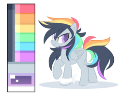 Size: 1024x819 | Tagged: safe, artist:sallylapone, oc, oc only, offspring, parent:rainbow dash, parent:soarin', parents:soarindash, reference sheet, solo