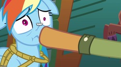 Size: 902x500 | Tagged: safe, edit, edited screencap, screencap, quibble pants, rainbow dash, g4, my little pony: friendship is magic, stranger than fan fiction, boop, boop edit, image macro, meme