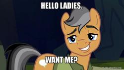 Size: 800x450 | Tagged: safe, edit, edited screencap, screencap, quibble pants, earth pony, pony, g4, my little pony: friendship is magic, stranger than fan fiction, caption, image macro, makeameme.org, male, meme, solo, stallion, stupid sexy quibble pants