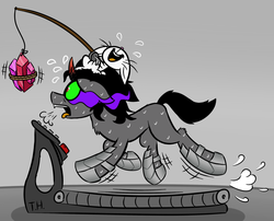 Size: 3525x2850 | Tagged: safe, artist:fakskis, angel bunny, king sombra, pony, rabbit, unicorn, g4, animal, big red button, carrot on a stick, crystal, eyes on the prize, fishing rod, floppy ears, fluffy, gem, high res, laughing, open mouth, panting, rope, running, sweat, that pony sure does love crystals, tongue out, treadmill, wide eyes