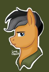 Size: 600x885 | Tagged: safe, artist:limedazzle, quibble pants, earth pony, pony, g4, stranger than fan fiction, bust, clothes, green background, male, portrait, simple background, solo, stallion, that was fast