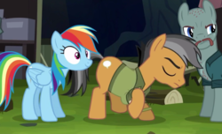 Size: 1475x896 | Tagged: safe, screencap, pickpocket, quibble pants, rainbow dash, earth pony, pegasus, pony, g4, stranger than fan fiction, female, male, mare, out of context, stallion