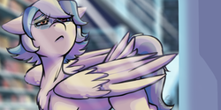 Size: 1000x500 | Tagged: safe, artist:curiouskeys, oc, oc only, oc:gusty petals, pegasus, pony, blank flank, crystal empire, library, solo, tail feathers