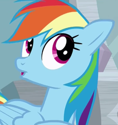 Size: 313x331 | Tagged: safe, screencap, rainbow dash, pony, g4, stranger than fan fiction, cute, female, mare, solo