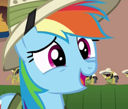 Size: 389x331 | Tagged: safe, screencap, daring do, rainbow dash, pegasus, pony, g4, stranger than fan fiction, cute, dashabetes, female, hat, mare, open mouth, solo