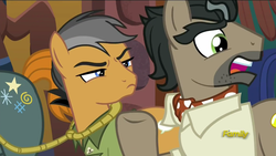 Size: 1920x1080 | Tagged: safe, screencap, doctor caballeron, quibble pants, rogue (g4), earth pony, pony, g4, stranger than fan fiction, discovery family logo, get a load of this guy, male, stallion, unamused, unimpressed