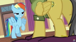 Size: 1281x717 | Tagged: safe, screencap, daring do, rainbow dash, pegasus, pony, g4, stranger than fan fiction, butt, female, mare, out of context, plot