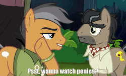 Size: 1280x773 | Tagged: safe, screencap, doctor caballeron, quibble pants, earth pony, pony, g4, stranger than fan fiction, caption, gif, lip bite, male, non-animated gif, stallion