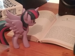 Size: 2592x1944 | Tagged: safe, artist:magicnova, twilight sparkle, alicorn, pony, g4, book, figurine, irl, photo, reading, that pony sure does love books, twilight sparkle (alicorn)