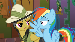 Size: 1366x768 | Tagged: safe, screencap, daring do, rainbow dash, pony, g4, stranger than fan fiction, discovery family logo