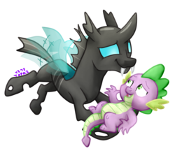 Size: 794x694 | Tagged: safe, artist:topaz7373, spike, thorax, changeling, dragon, g4, the times they are a changeling, cute, duo, duo male, gay, holding, holding a dragon, holding a spike, male, ship:thoraxspike, shipping, simple background, smiling, spikabetes, spikeling, thorabetes, transparent background, wingless spike