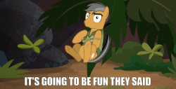 Size: 1224x624 | Tagged: safe, screencap, quibble pants, earth pony, pony, g4, stranger than fan fiction, anticlimactic, gif, male, meme, non-animated gif, solo, stallion