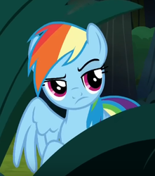 Size: 337x381 | Tagged: safe, screencap, rainbow dash, pony, g4, my little pony: friendship is magic, stranger than fan fiction, female, mare, solo