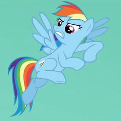 Size: 393x393 | Tagged: safe, screencap, rainbow dash, pony, g4, stranger than fan fiction, female, flying, mare, solo