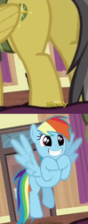 Size: 197x496 | Tagged: safe, screencap, daring do, rainbow dash, pony, g4, stranger than fan fiction, butt, daring donk, female, mare, plot