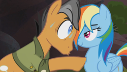 Size: 1129x635 | Tagged: safe, screencap, quibble pants, rainbow dash, pony, g4, stranger than fan fiction, sweat