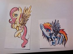 Size: 800x600 | Tagged: safe, artist:anuhanele, fluttershy, rainbow dash, g4, traditional art