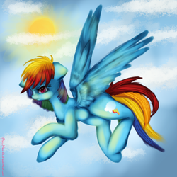 Size: 2000x2000 | Tagged: safe, artist:anuhanele, rainbow dash, g4, flying, high res