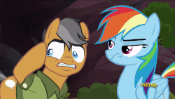 Size: 1286x724 | Tagged: safe, screencap, quibble pants, rainbow dash, pony, g4, stranger than fan fiction, animated, freakout, loop