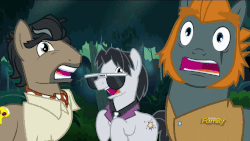 Size: 1286x724 | Tagged: safe, screencap, doctor caballeron, rogue (g4), withers, earth pony, pony, g4, stranger than fan fiction, animated, henchmen, loop, male, open mouth, screaming, stallion, trio