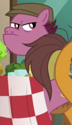 Size: 225x390 | Tagged: safe, screencap, brickhouse, earth pony, pony, g4, the gift of the maud pie, background pony, hat, male, solo focus, stallion, unnamed character, unnamed pony